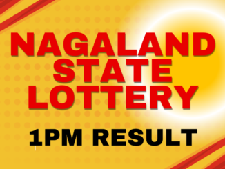 Nagaland State Lottery Result